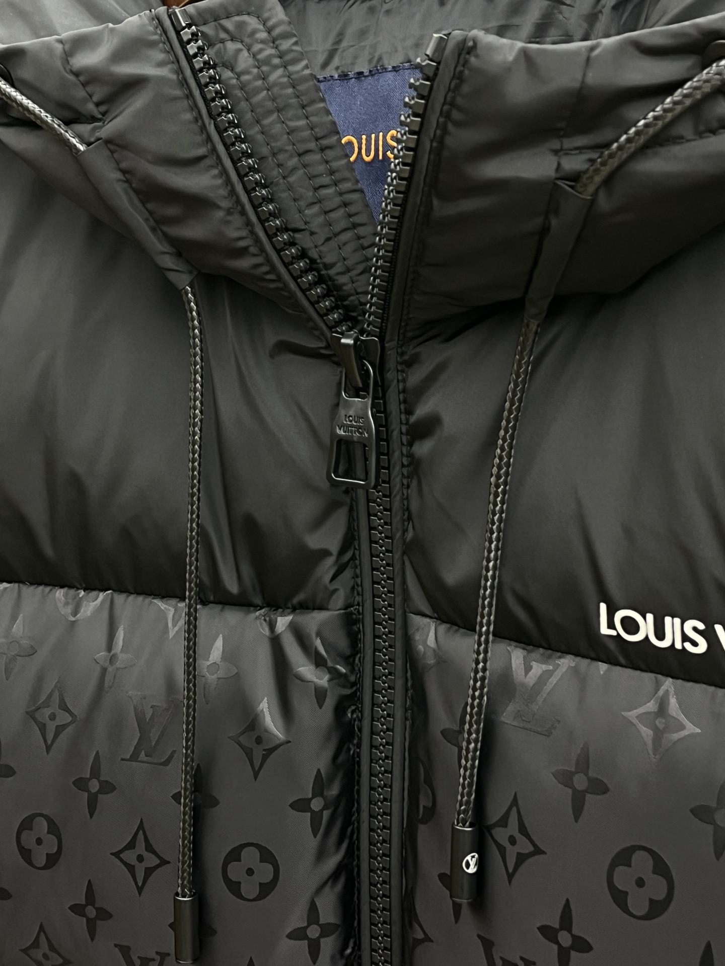 Louis Vuitton Down Jackets